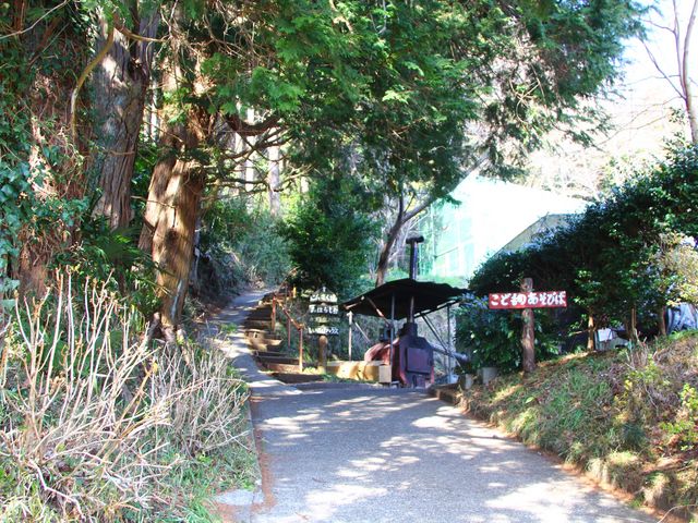 園内_きのこ苑お山のたいしょう
