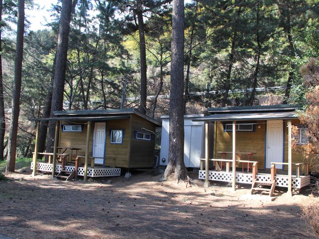 キャンプ場内_なみのこ村