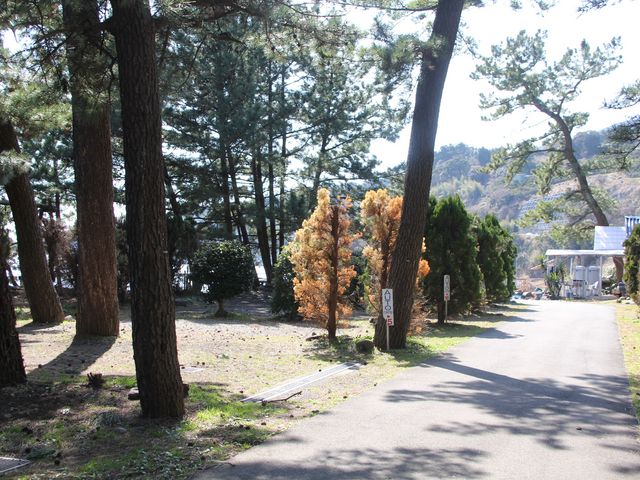 キャンプ場内_なみのこ村
