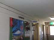 おだわら5525さんの小田原市観光協会の投稿写真3