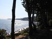 おだわら5525さんのなみのこ村の投稿写真1