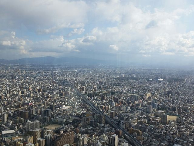 南東(生駒山)側_SKY・GARDEN・300