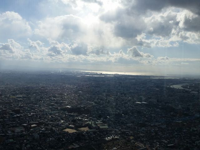 西(大阪湾側)_SKY・GARDEN・300