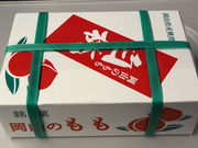 イルカくんさんの岡山市観光案内所の投稿写真1