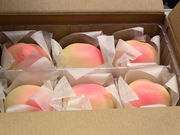 イルカくんさんの岡山市観光案内所の投稿写真2