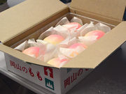 イルカくんさんの岡山市観光案内所の投稿写真6