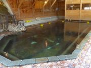 マックさんの甲子温泉旅館大黒屋の投稿写真9