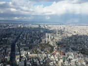 ホーリーさんのSKY・GARDEN・300の投稿写真4