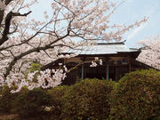 つくよみさんの三本松公園の投稿写真2