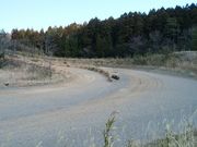 エルシィさんの門前モータースポーツ公園の投稿写真2