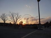 キヨさんの葛西海浜公園の投稿写真3