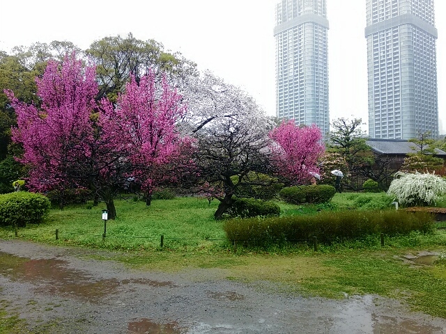 浜離宮恩寵公園_ポケカル