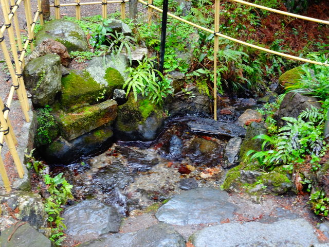 しどーさんの菊水泉の投稿写真2