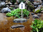 しどーさんの菊水泉の投稿写真1