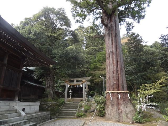 やんまあさんの菅生石部神社の投稿写真1