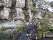 やんまあさんの那谷寺庫裡庭園の投稿写真1