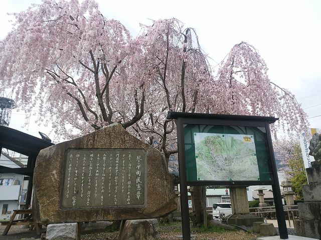 琴平駅は桜が満開でした_こんぴら温泉郷
