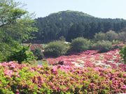 takaさんの長串山公園の投稿写真1
