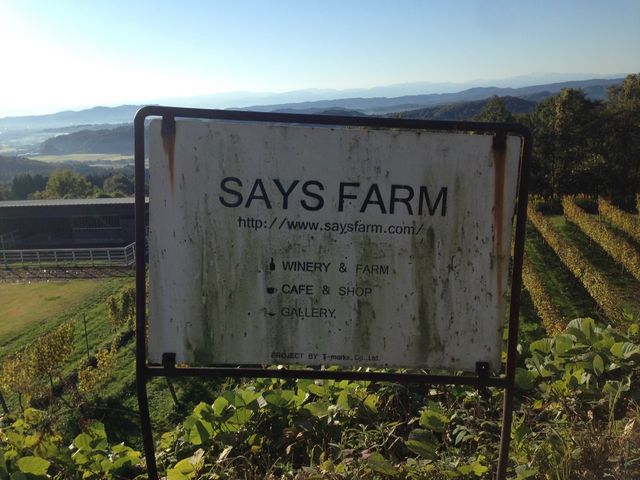 畑を背景に看板_says farm