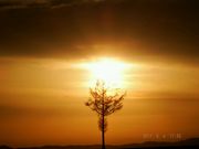 レオくんさんのメルヘンの丘の投稿写真1