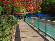 なっちさんの中島公園の投稿写真1