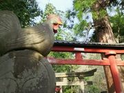 amuchaさんの中野神社の投稿写真1