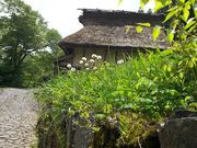 ぷりさんの板取宿の投稿写真1