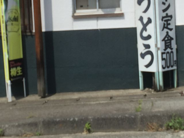 ワンコインランチ_ちょぼ八