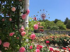 蜂ヶ峯総合公園の写真1