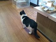 mon-tさんの源三窟の投稿写真3