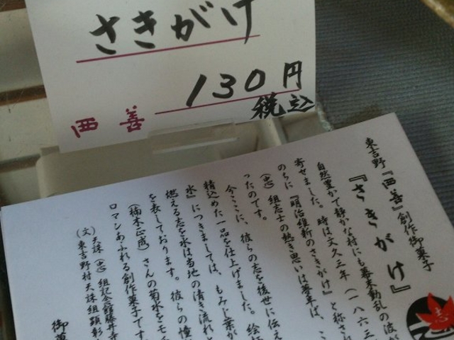 さきがけ説明_西善