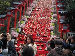 勝浦の朝市の写真1