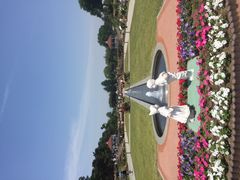 まゆりんさんの敷島公園への投稿写真1
