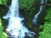 梅香さんの箱島湧水の投稿写真1