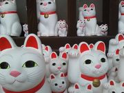 mmさんの海雲寺の招き猫の投稿写真1