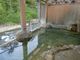 にょろどんさんの″新日本百名湯″″日本温泉遺産″に指定 秘湯宿「藤三旅館」への投稿写真3