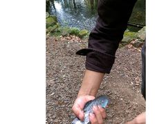 みくちぇりさんの丸鉄園への投稿写真2