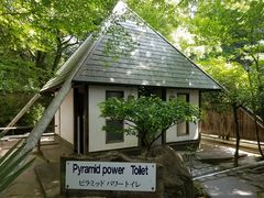 shyさんの坊主地獄への投稿写真1