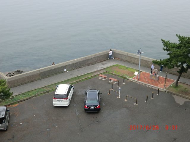 橋から見た公園_中の島公園(千葉県木更津市)