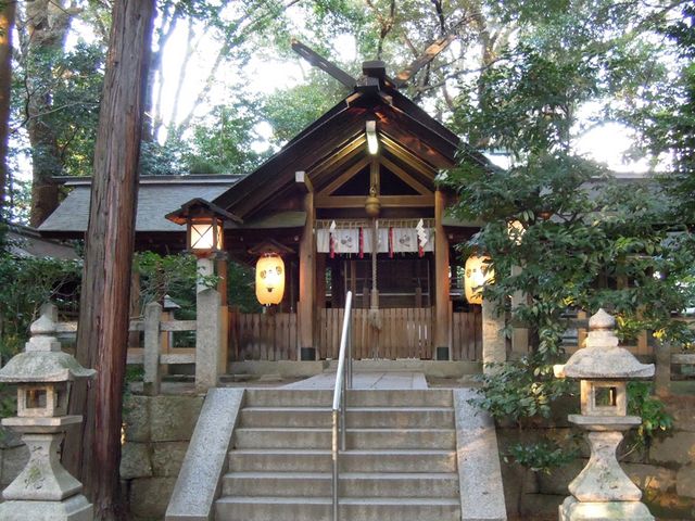 昼なお暗い社叢_木嶋坐天照御魂神社