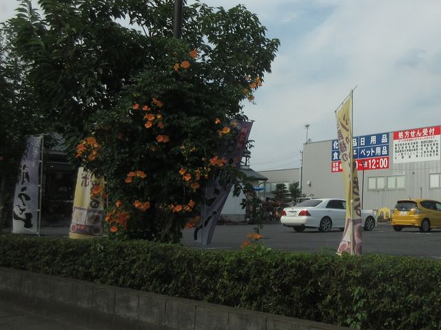外観_朝日屋