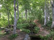 マイBOOさんの月山山麓湧水群の投稿写真1