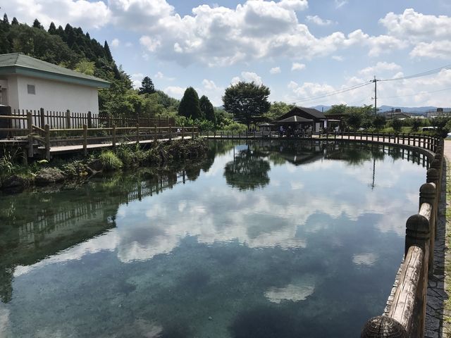 水が綺麗_霧島山麓丸池湧水