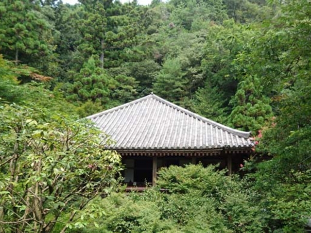 反対側から見た、本堂。_三滝寺(三滝観音)