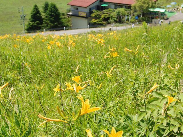 たーくんさんのドライブイン 霧ヶ峰 富士見台の投稿写真2