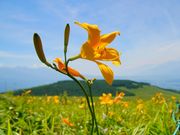 たーくんさんのドライブイン 霧ヶ峰 富士見台の投稿写真1