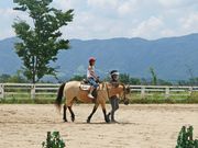 ponnkichiさんの蒜山ホースパークの投稿写真1