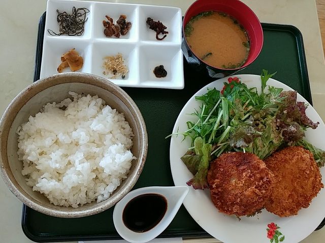 定食_道の駅 小豆島オリーブ公園サン・オリーブレストラン