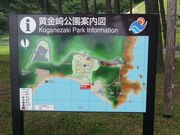 もぐらドンチャックさんの黄金崎花畑の投稿写真1