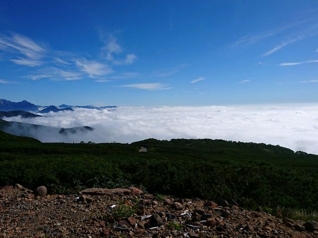 頂上まであと少しというところで、右を見ればこの景色。体験したことない景色に、思わず興奮しました。_乗鞍エコーライン(県道乗鞍岳線)